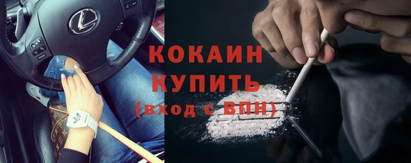 крисы Абаза